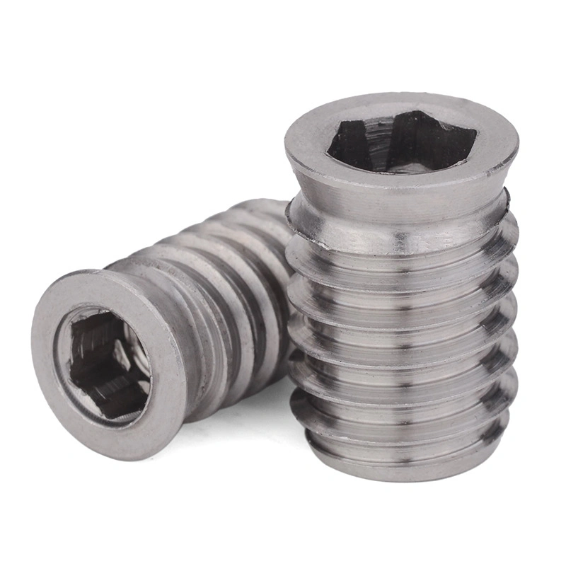 Stainless Steel Nut Set Hex Socket Drive Insert Nuts Threaded for Wood Furniture